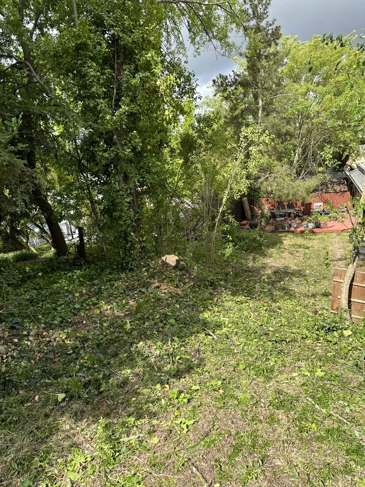 Local residential landscaping experts serving Sacramento, CA - Trees R US