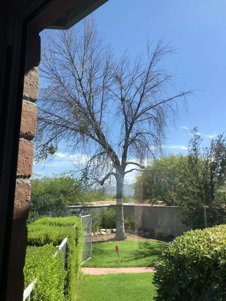 Expert landscape design for residential properties across Tucson, AZ - Trees R Us