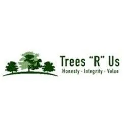 Expert landscaping services for residential properties in Tucson, AZ by Trees R Us