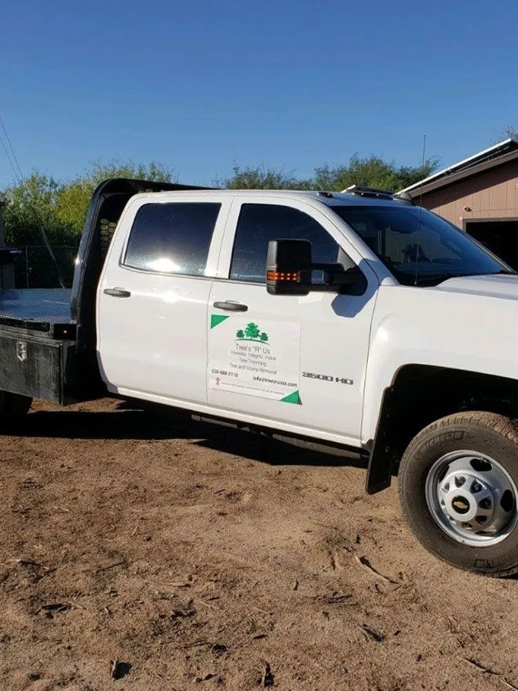 Reliable outdoor landscaping in Tucson, AZ - Trees R Us