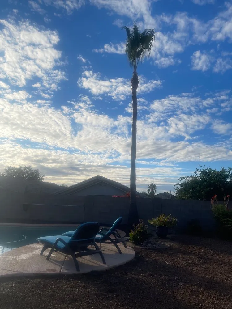 Affordable outdoor landscaping experts serving Tucson, AZ - Trees R Us