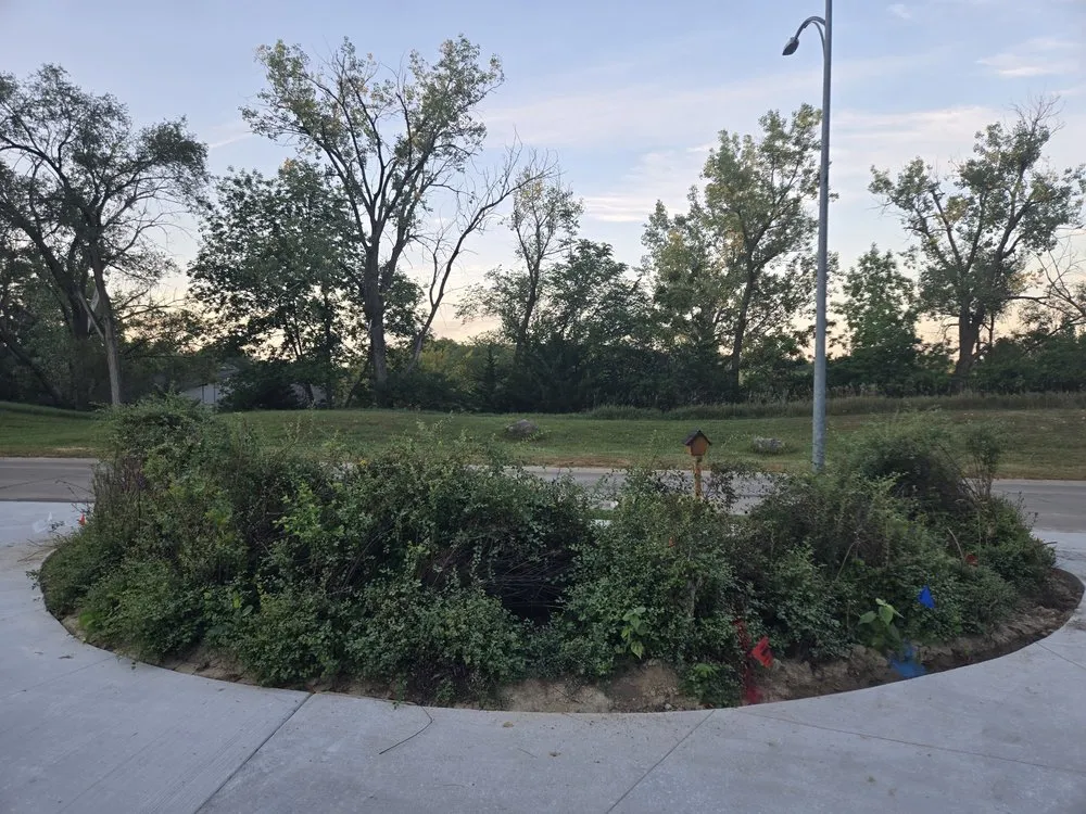 Expert landscape installation for beautiful yards in Bellevue, NE by Trees, Shrubs & More