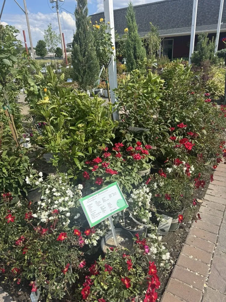 Reliable lawn care service with custom design in Bellevue, NE by Trees, Shrubs & More