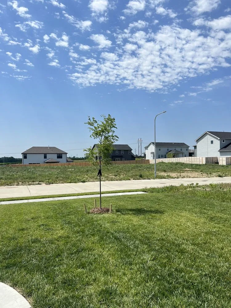 Reliable yard cleanup service experts serving Bellevue, NE - Trees, Shrubs & More