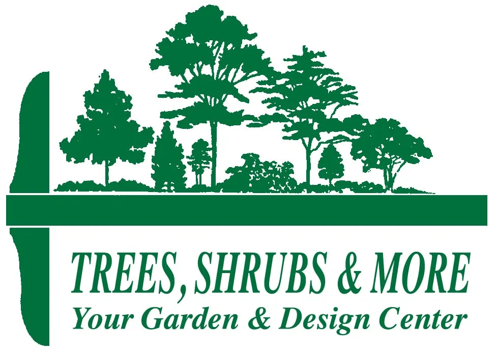 Top-rated outdoor landscaping for homes across Bellevue, NE - Trees, Shrubs & More