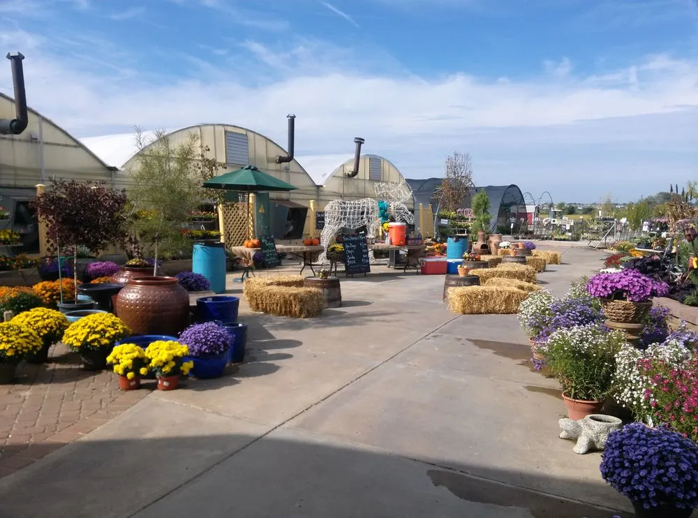 Professional lawn care service in Bellevue, NE by Trees, Shrubs & More