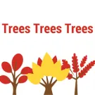 Professional outdoor landscaping experts serving Merritt Island, FL - Trees Trees Trees
