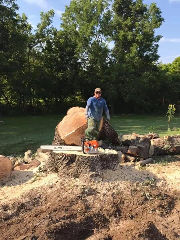 Custom lawn care service in Greeneville, TN by Tree's Unlimited