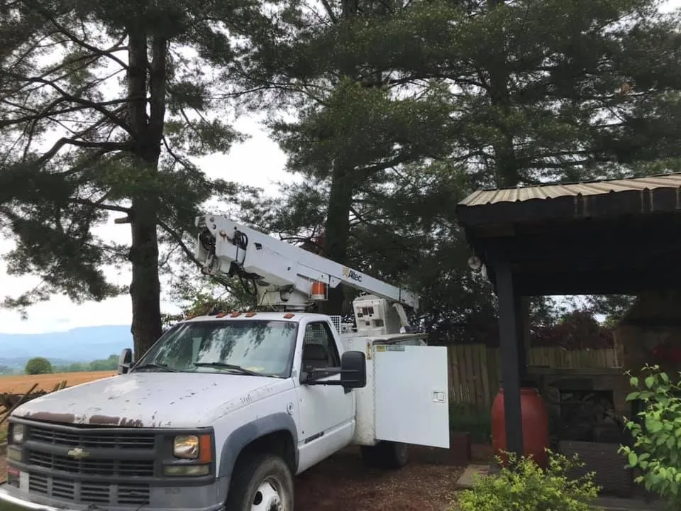 Local yard cleanup service in Greeneville, TN - Tree's Unlimited