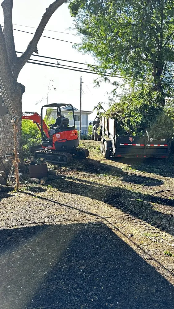 Affordable yard maintenance experts serving Ewa Beach, HI - Treescape Hawaii