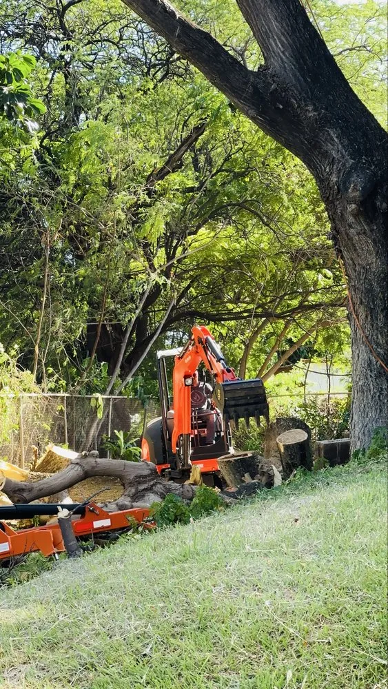 Expert outdoor landscaping for homes in Ewa Beach, HI by Treescape Hawaii