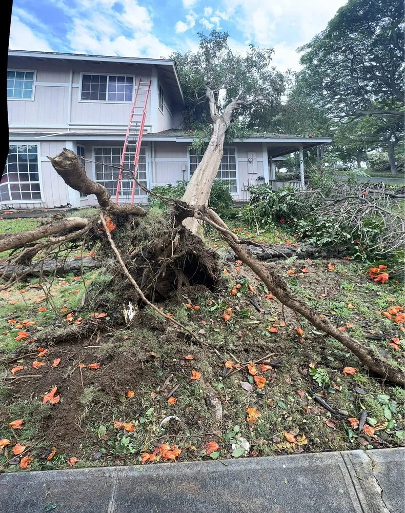Local residential landscaping in Ewa Beach, HI - Treescape Hawaii