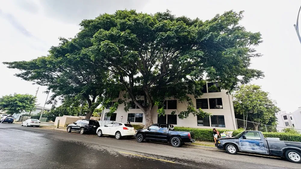 Affordable outdoor landscaping in Ewa Beach, HI by Treescape Hawaii