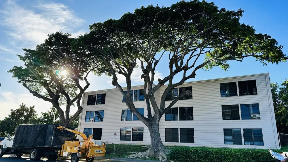 Trusted yard cleanup service experts serving Ewa Beach, HI - Treescape Hawaii