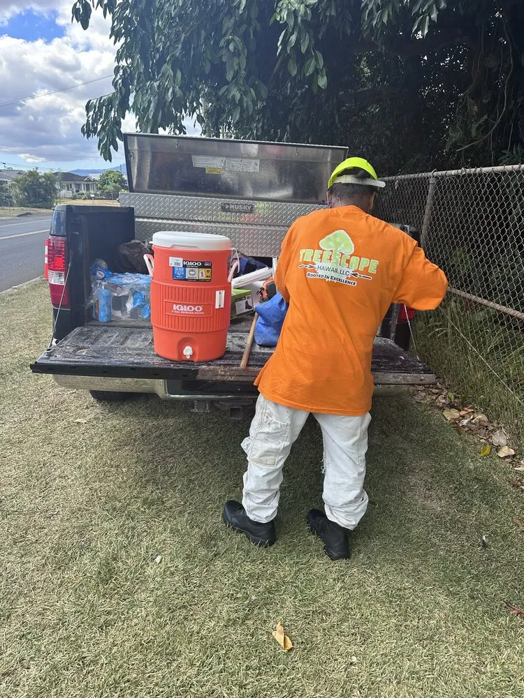 Local outdoor landscaping experts serving Ewa Beach, HI - Treescape Hawaii