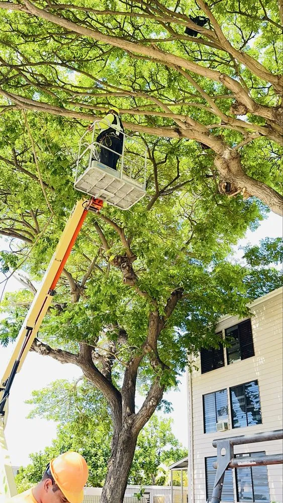 Trusted landscape design experts serving Ewa Beach, HI - Treescape Hawaii