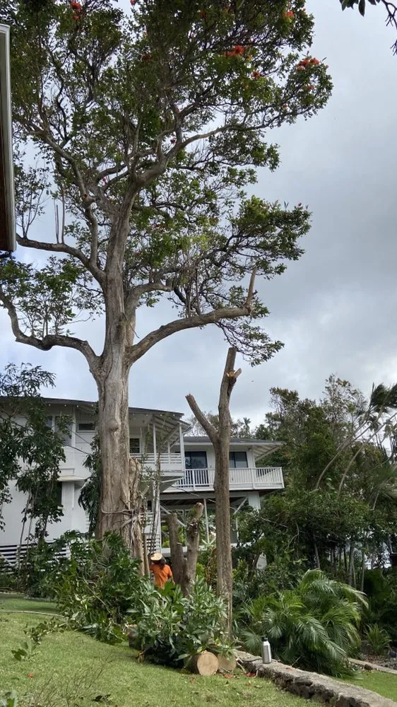 Affordable lawn care service experts serving Ewa Beach, HI - Treescape Hawaii