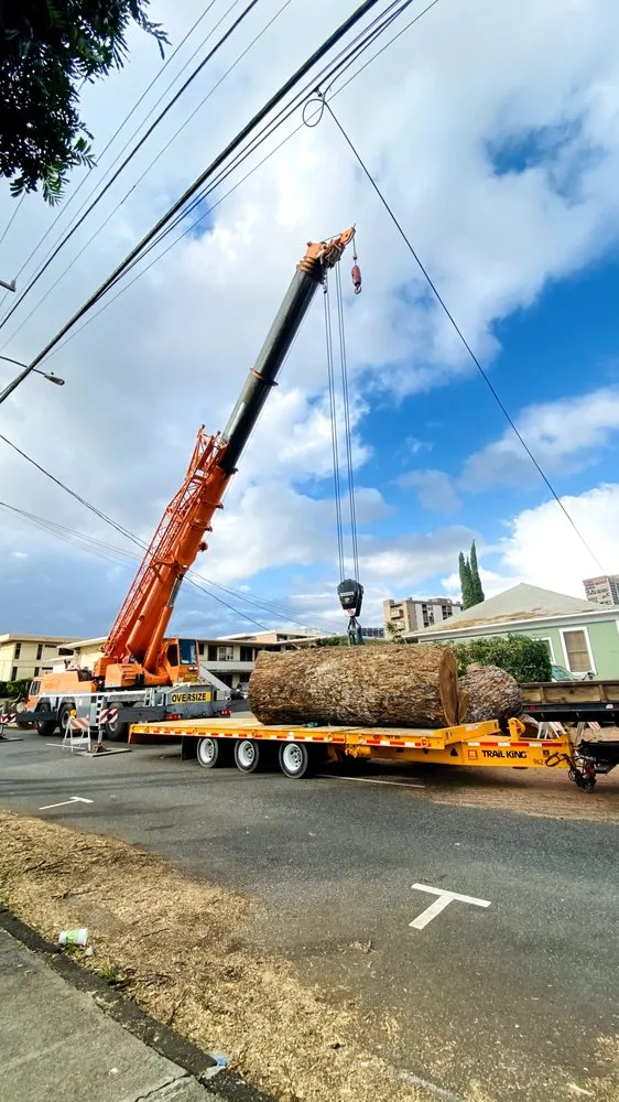 Professional lawn mowing service for homes across Ewa Beach, HI - Treescape Hawaii