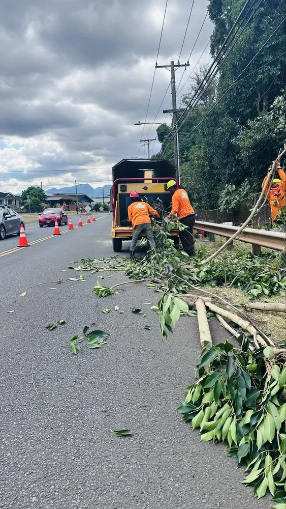 Expert yard cleanup service in Ewa Beach, HI by Treescape Hawaii