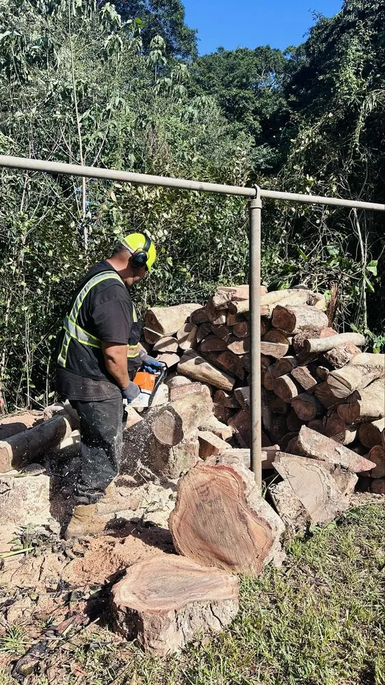 Affordable lawn care service with custom design across Ewa Beach, HI - Treescape Hawaii