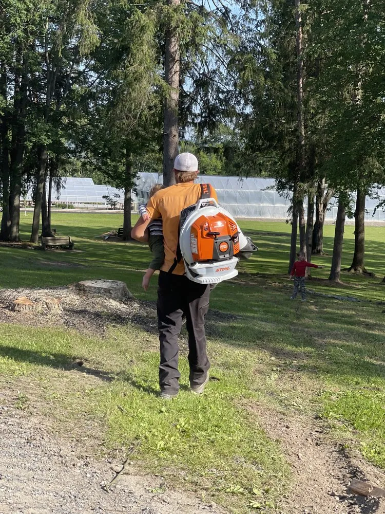 Professional yard cleanup service in Sherburne, NY - TreeScape