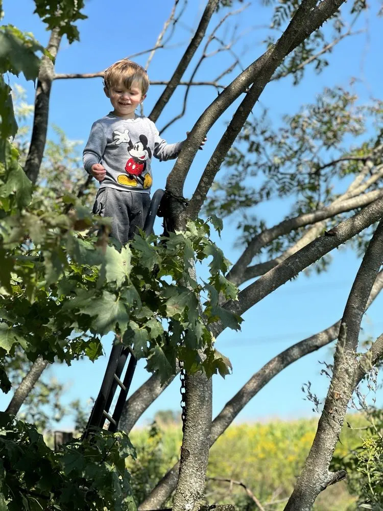 Local lawn mowing service in Sherburne, NY by TreeScape