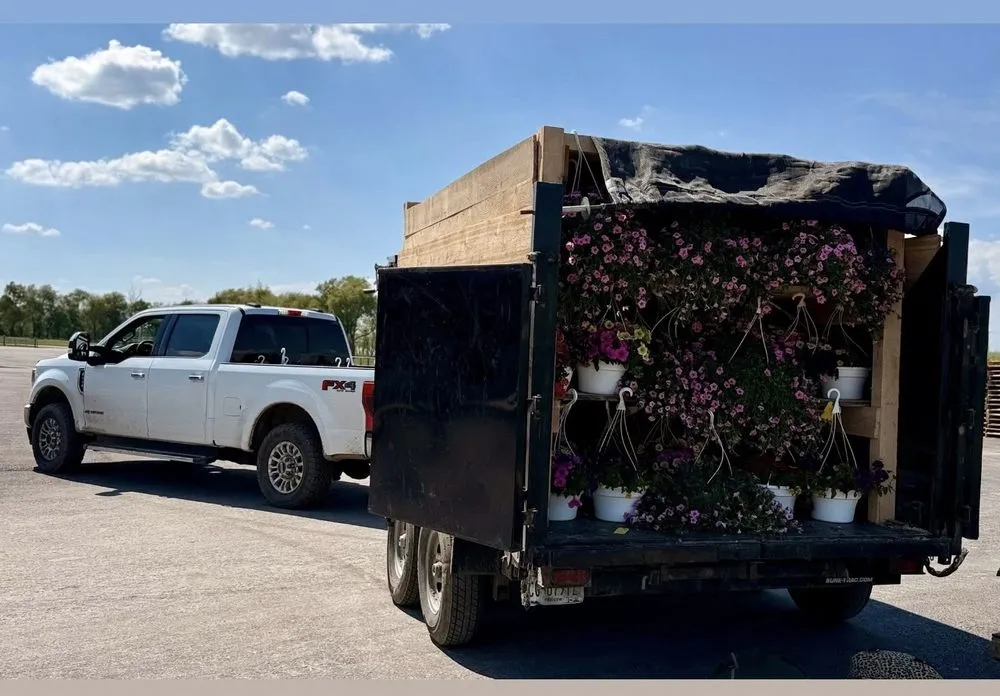 Top-rated yard maintenance in Sherburne, NY - TreeScape