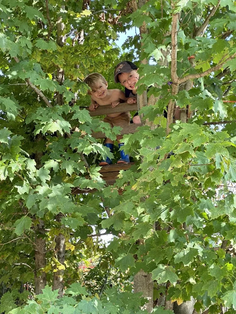 Affordable yard maintenance in Sherburne, NY by TreeScape