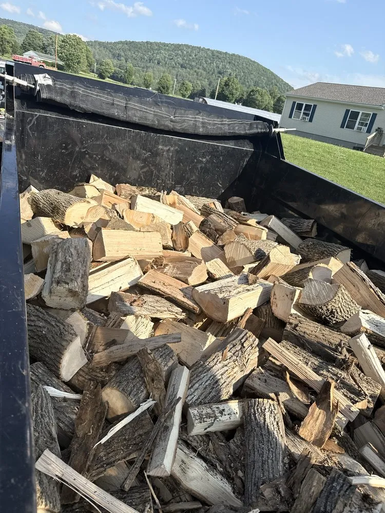 Top-rated yard maintenance in Sherburne, NY by TreeScape