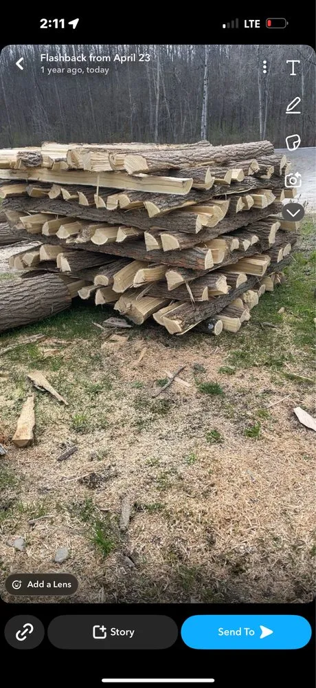 Affordable yard cleanup service for year-round maintenance across Sherburne, NY - TreeScape