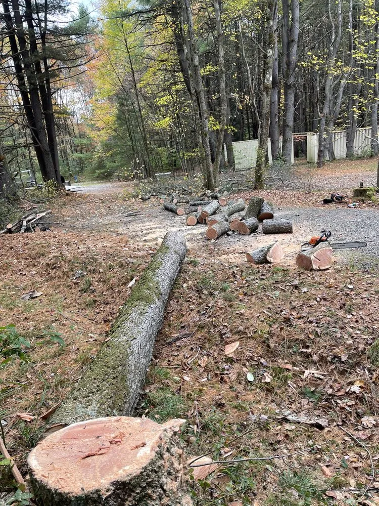 Local landscape installation experts serving Sherburne, NY - TreeScape