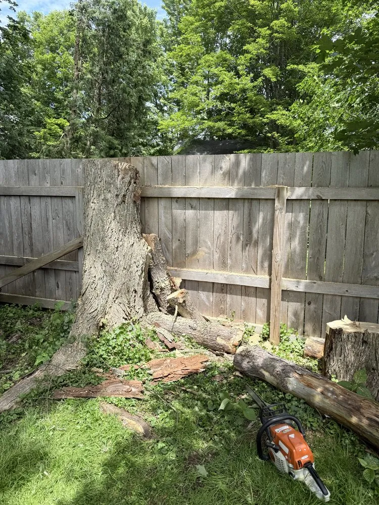 Trusted landscaping services for outdoor upgrades in Sherburne, NY by TreeScape