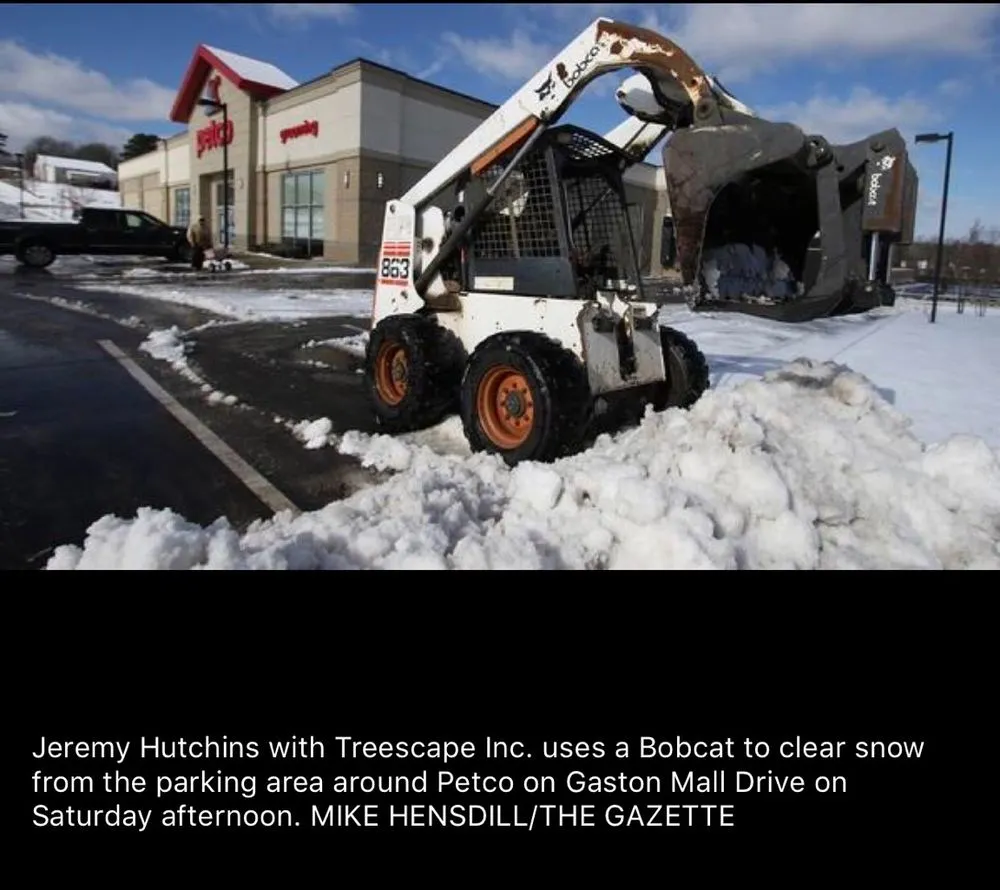 Affordable garden landscaping with custom design in Charlotte, NC by Treescape Tree Experts