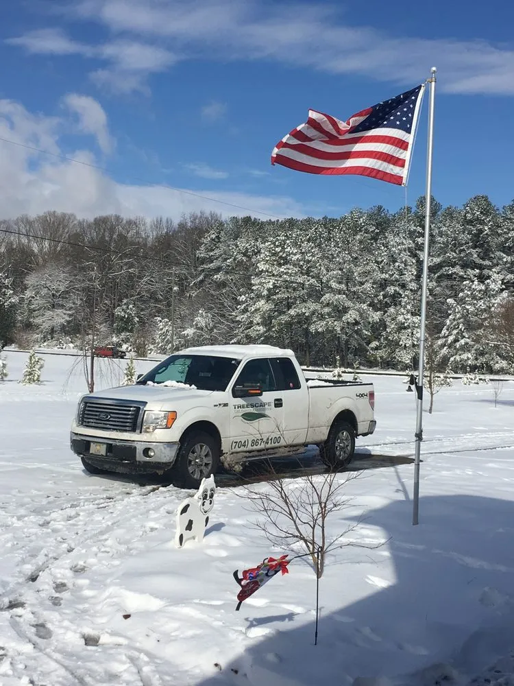 Custom yard cleanup service experts serving Charlotte, NC - Treescape Tree Experts