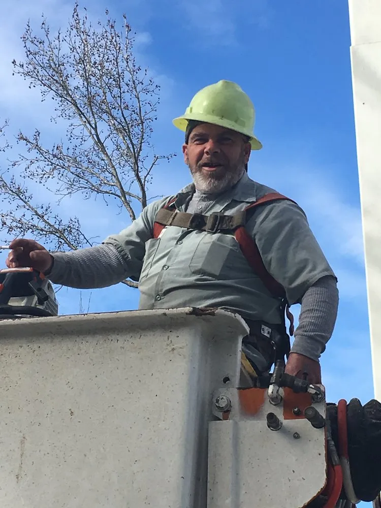 Top-rated landscape design with custom design across Charlotte, NC - Treescape Tree Experts