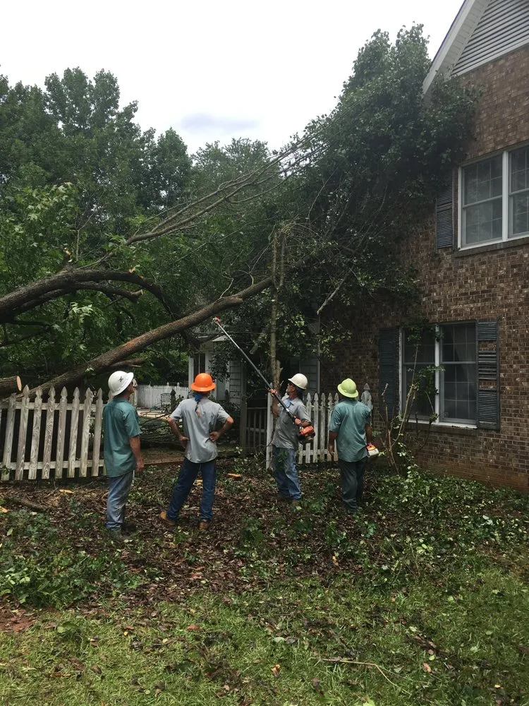 Top-rated landscaping services in Charlotte, NC - Treescape Tree Experts