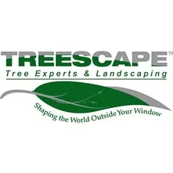 Custom garden landscaping in Charlotte, NC - Treescape Tree Experts