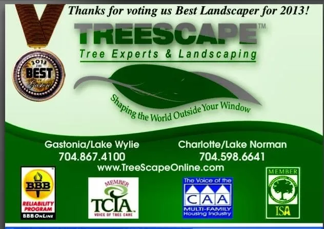 Professional landscaping services in Charlotte, NC - Treescape Tree Experts