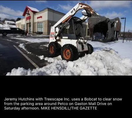 Treescape Tree Experts Logo