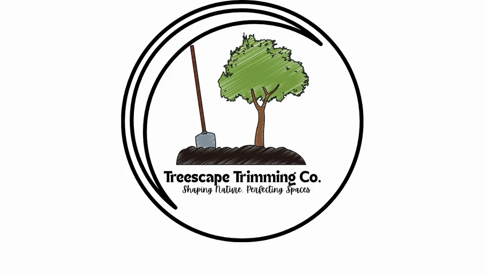Expert lawn care service in Golf, FL - Treescape Trimming