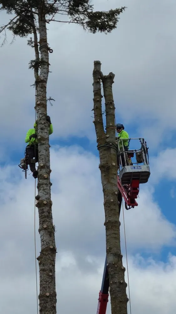 Local landscaping services experts serving Spokane Valley, WA - Treescapes