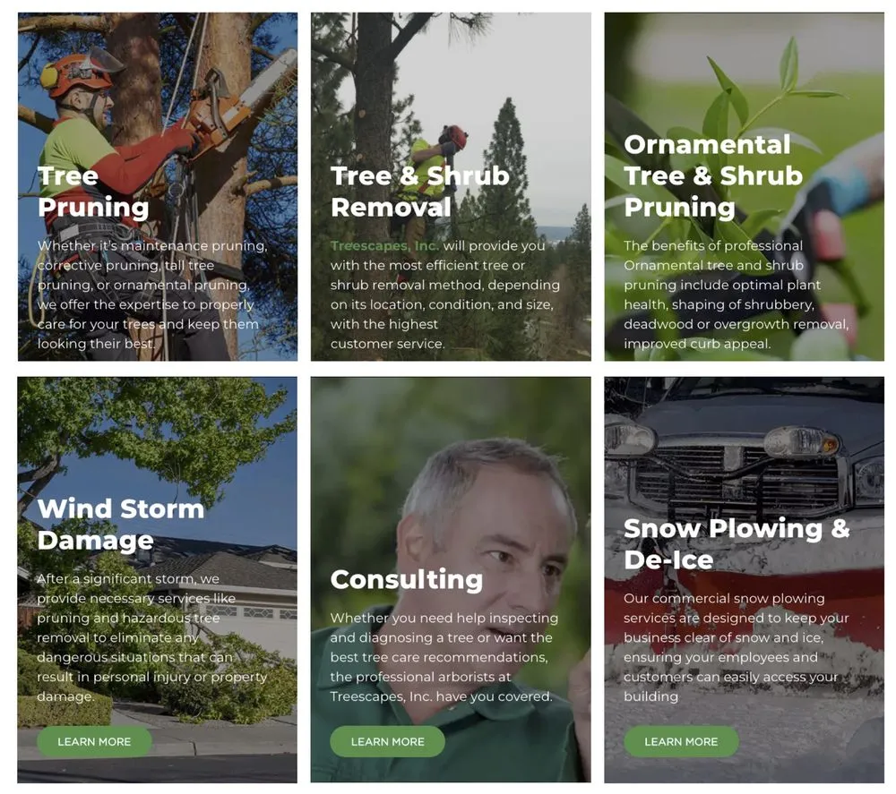 Trusted yard cleanup service in Spokane Valley, WA - Treescapes