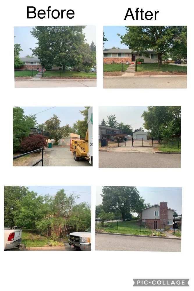 Professional outdoor landscaping experts serving Spokane Valley, WA - Treescapes