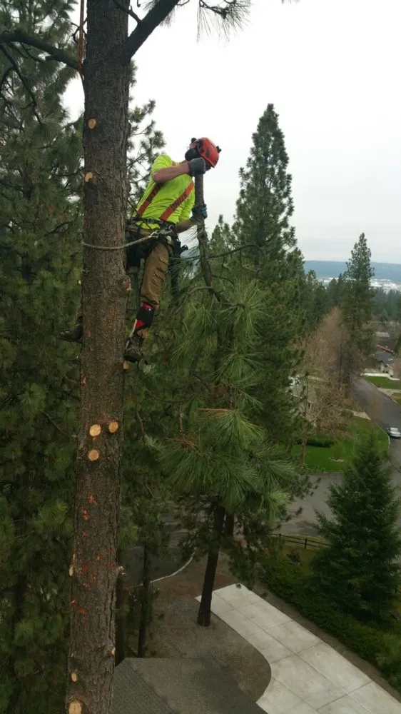 Affordable landscaping services in Spokane Valley, WA - Treescapes