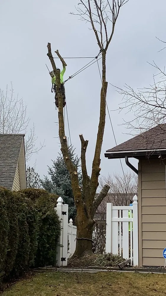 Top-rated residential landscaping in Spokane Valley, WA by Treescapes