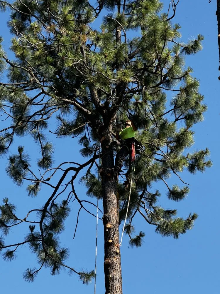 Local outdoor landscaping near you across Spokane Valley, WA - Treescapes