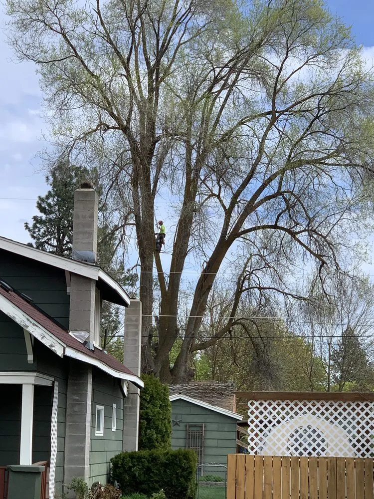 Affordable landscaping services in Spokane Valley, WA - Treescapes
