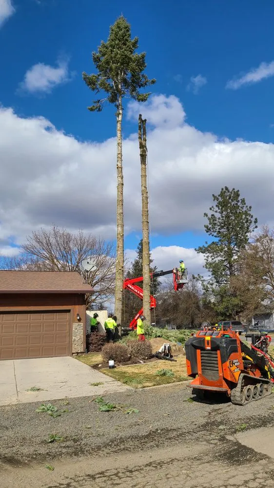 Custom yard cleanup service near you across Spokane Valley, WA - Treescapes