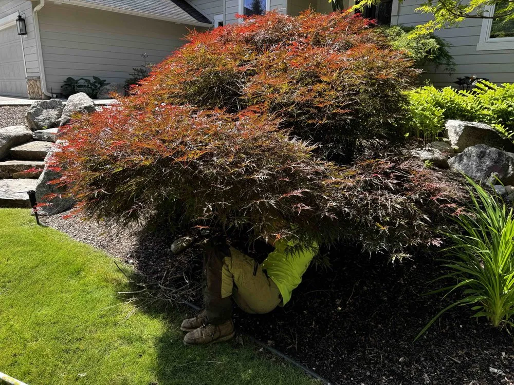 Professional residential landscaping for outdoor upgrades in Spokane Valley, WA by Treescapes