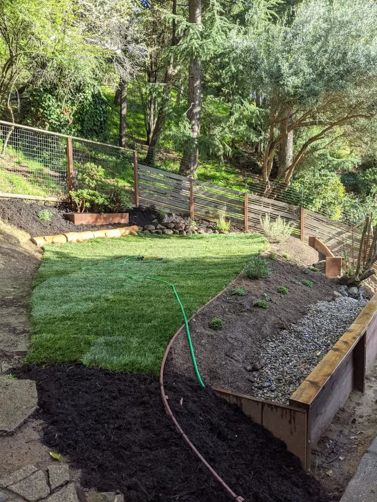 Local lawn mowing service for residential properties in Alameda, CA by TreeSchool Landscaping